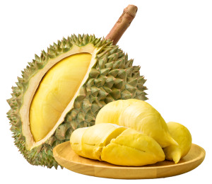 ĐẠI LÝ VTNN LAN NHÀN