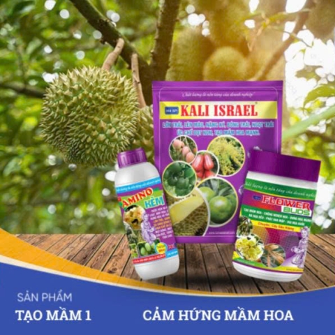 ĐẠI LÝ VTNN LAN NHÀN
